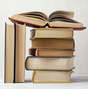 Img-book-stack.jpg