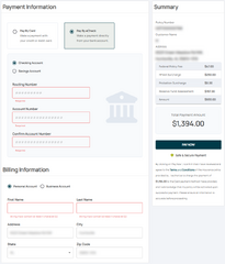 Required electronic check fields are outlined in red